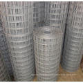 Electro/Hot Dipped Galvanized Welded Wire Mesh supplier